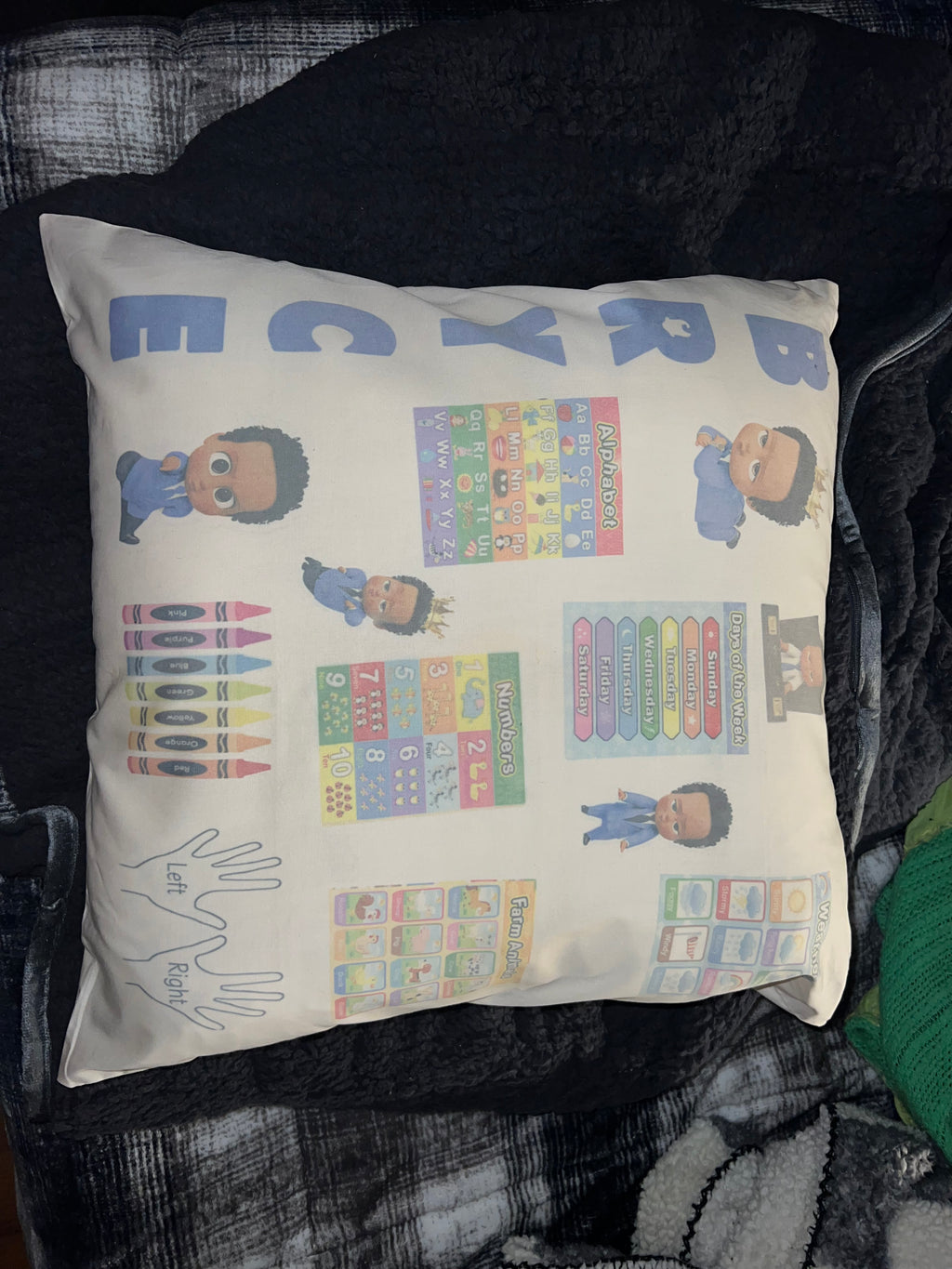 Throw Pillow